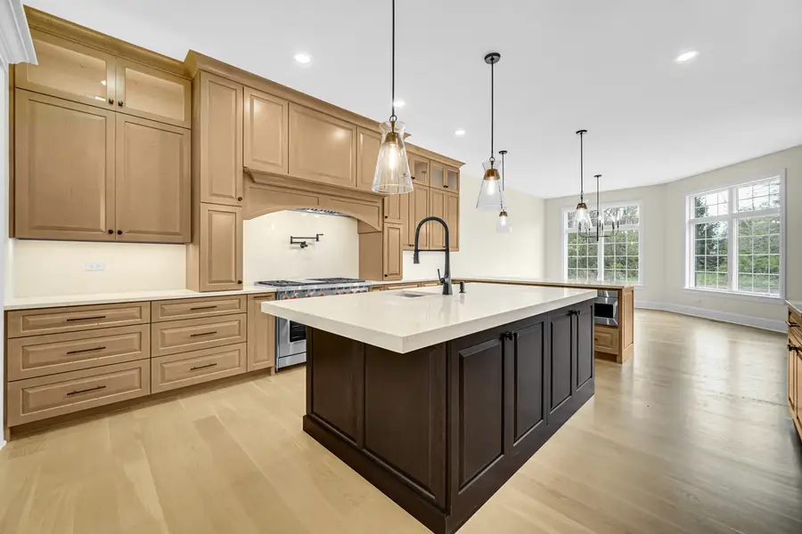 1212 Georgias Way, New Lenox, IL 60451 - Image #3