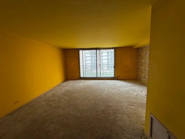 6007 N Sheridan Road #6H, Chicago, IL 60660 - Image #3