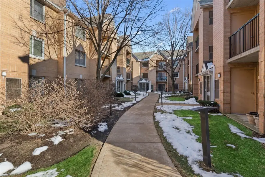 8710 W Evelyn Lane #106, Chicago, IL 60656 - Image #2
