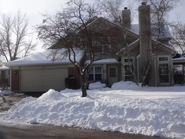 1632 Columbia Circle #4, Bartlett, IL 60103