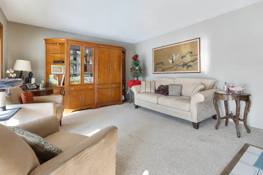 739 Delphia Avenue, Elk Grove Village, IL 60007 - Image #3
