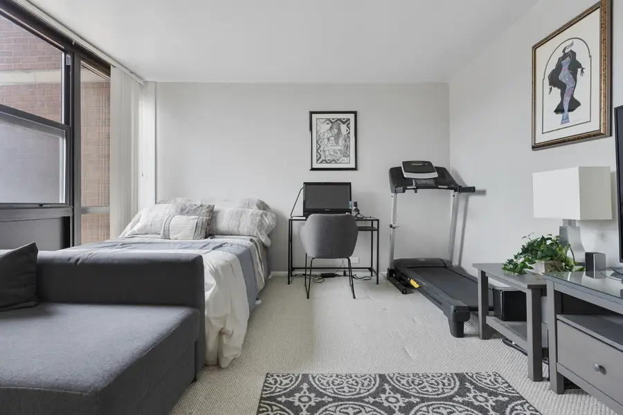 2921 S Michigan Avenue #308, Chicago, IL 60616 - Image #3