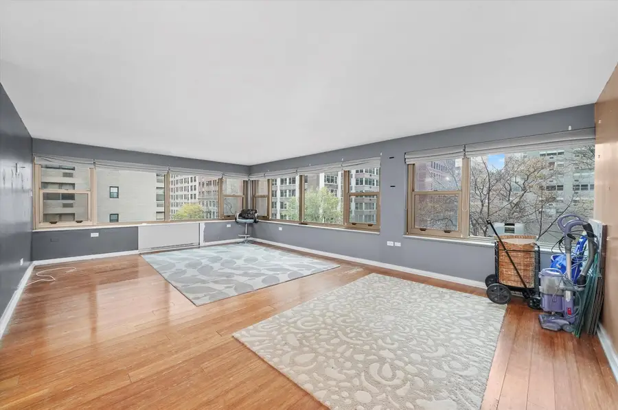 247 E Chestnut Street #502, Chicago, IL 60611 - Image #2