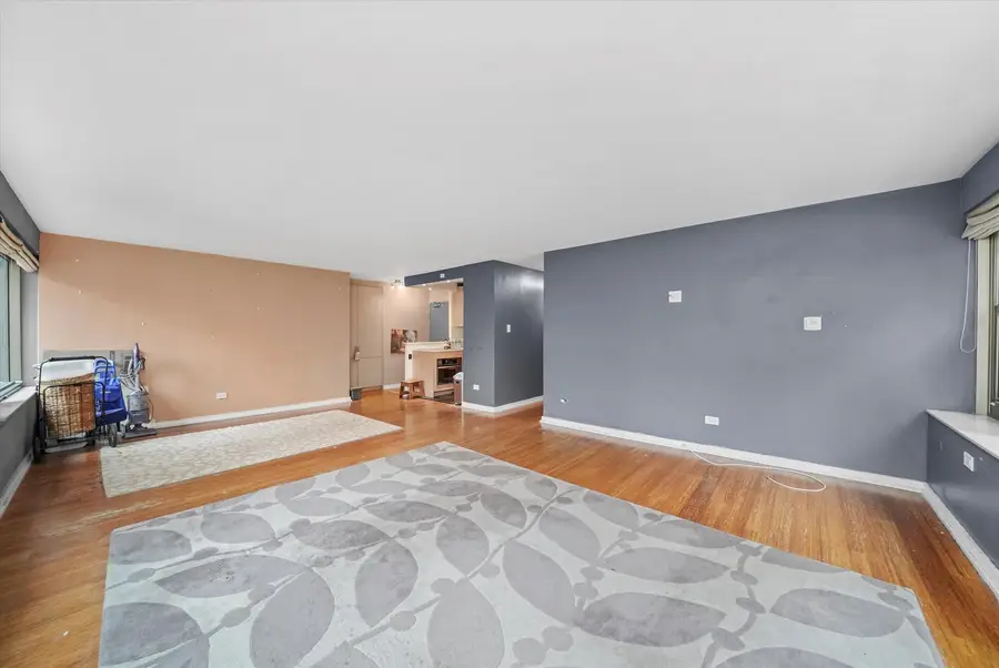 247 E Chestnut Street #502, Chicago, IL 60611 - Image #3