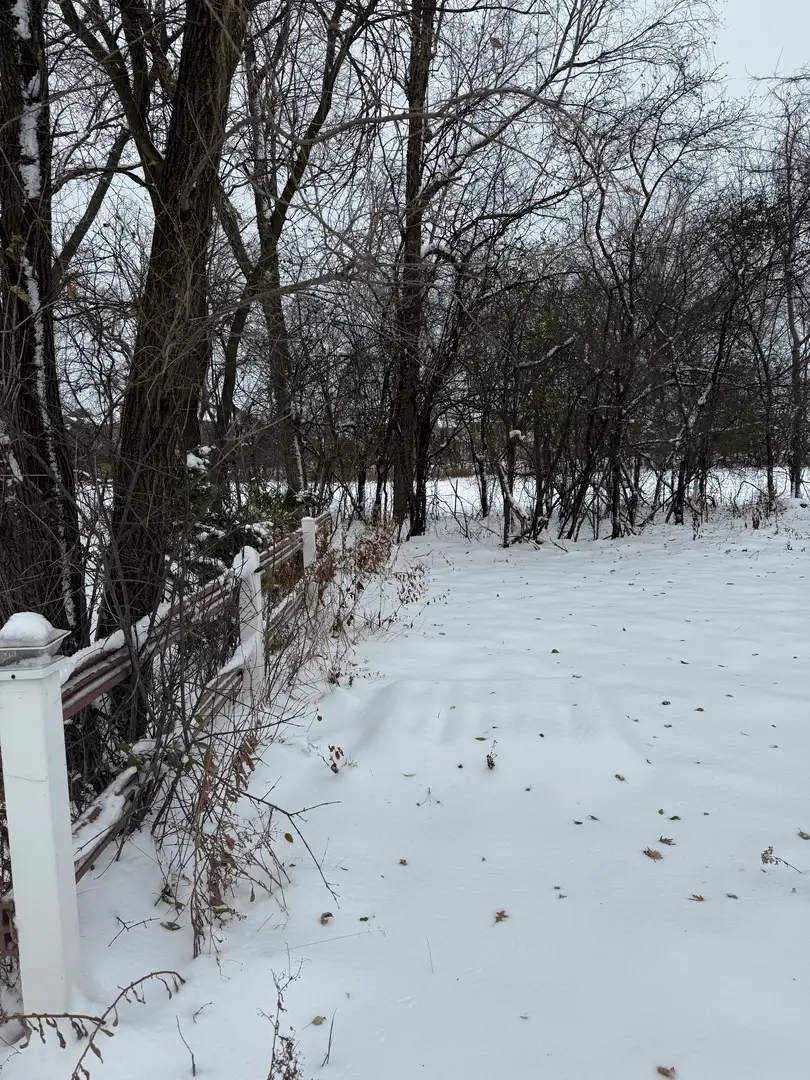 19611 Crawford Avenue, Flossmoor, IL 60422 - Image #3