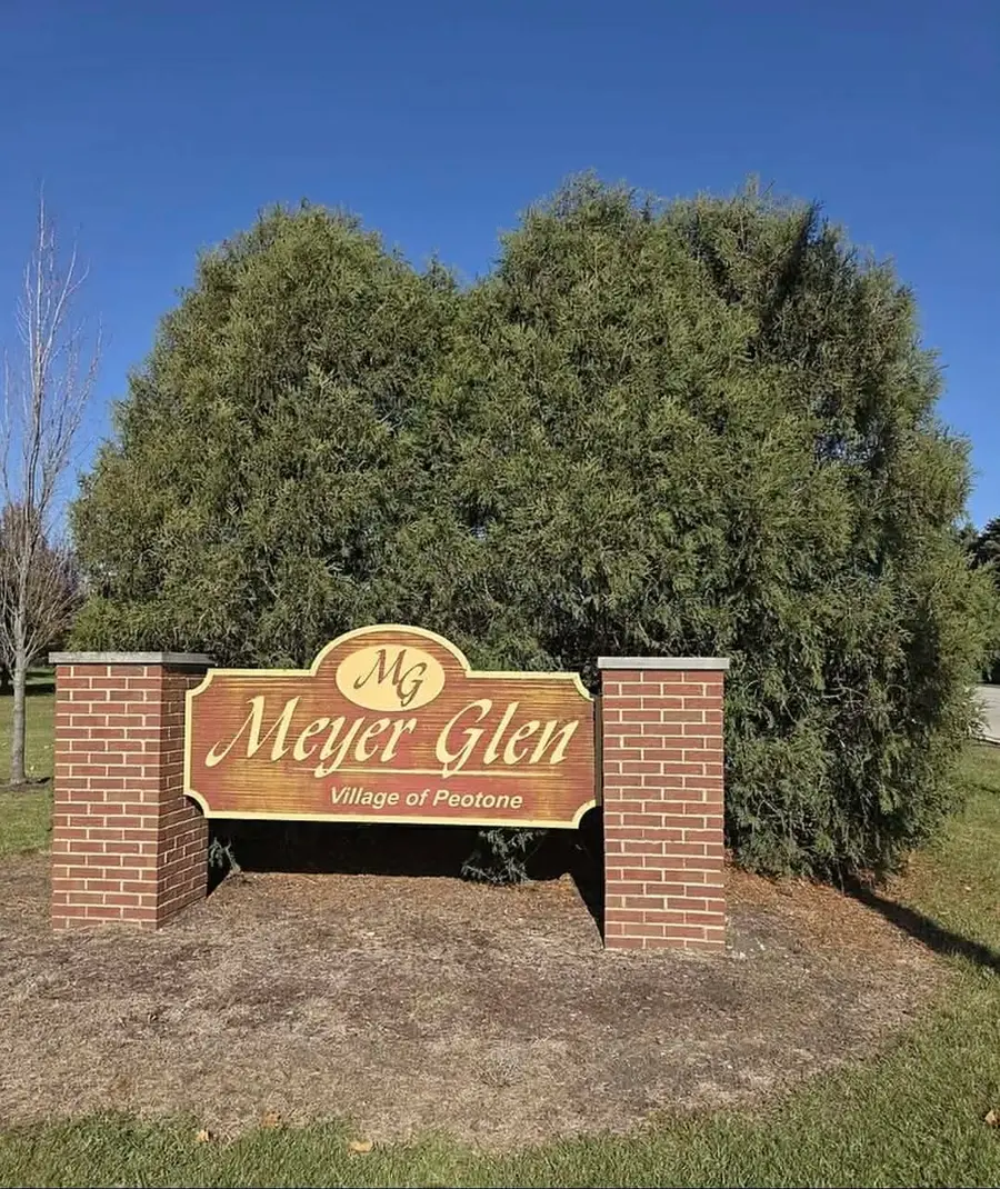 114 Hickory Street, Peotone, IL 60468 - Image #3