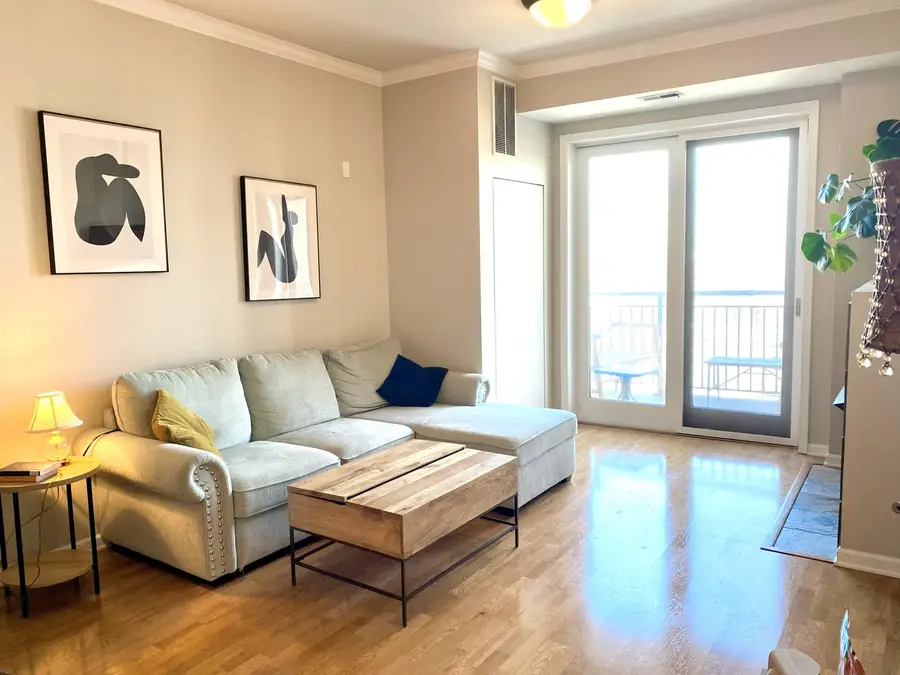 828 W Grace Street #1208, Chicago, IL 60613 - Image #2