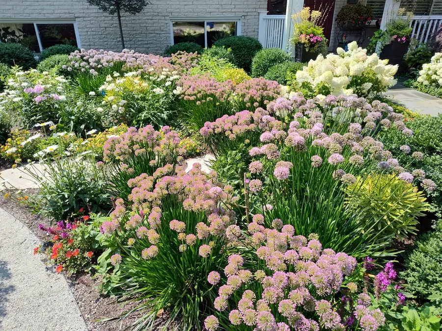 321 Vine Street, Wilmette, IL 60091 - Image #3