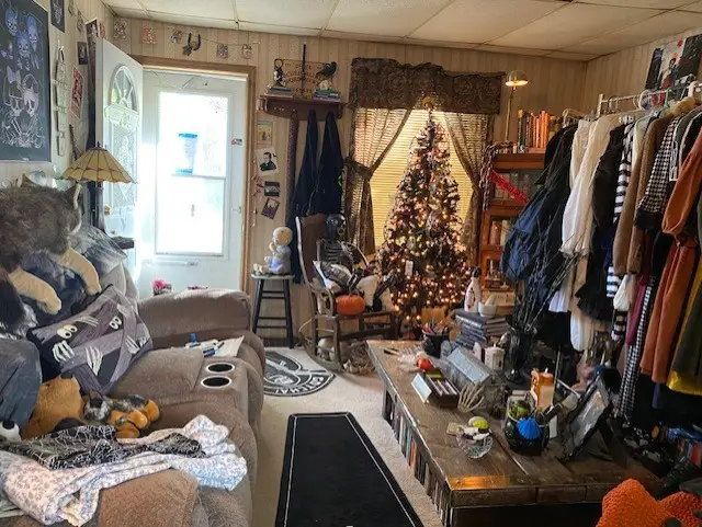 667 Swift Avenue, Oglesby, IL 61348 - Image #3