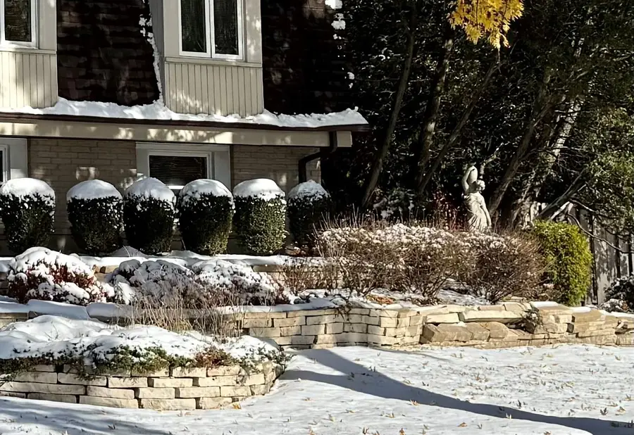 416 Trinity Court, Buffalo Grove, IL 60089 - #3