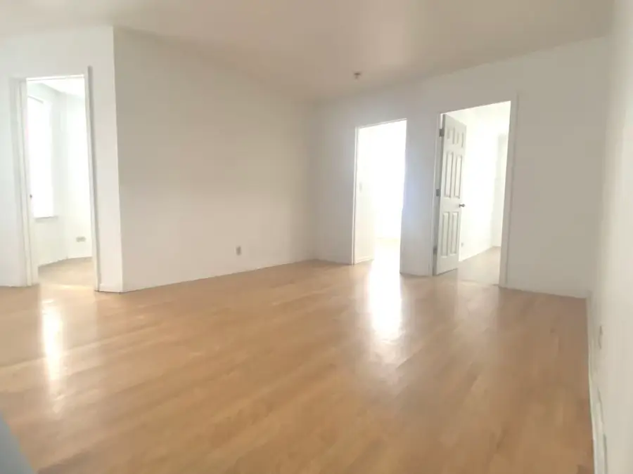 238 W 31st Street #2E, Chicago, IL 60616 - #2