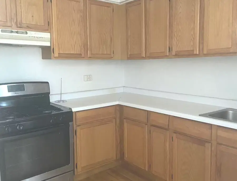 238 W 31st Street #2E, Chicago, IL 60616 - #3