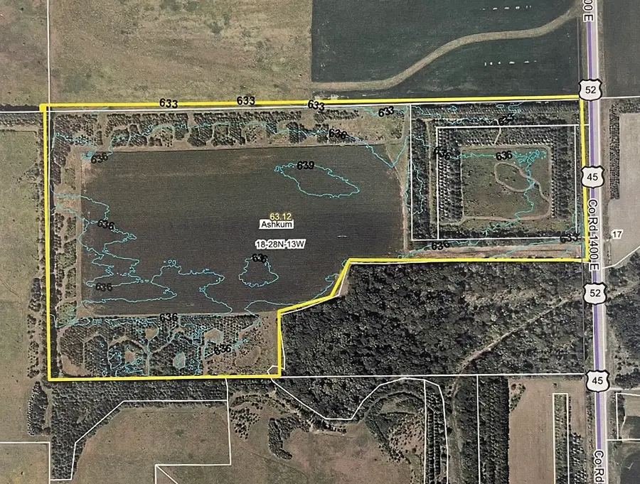 63.12 Route 45/52 Road, Ashkum, IL 60911 - #3