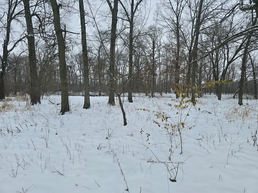 3100 N 17060 Road E, Momence, IL 60954 - #3