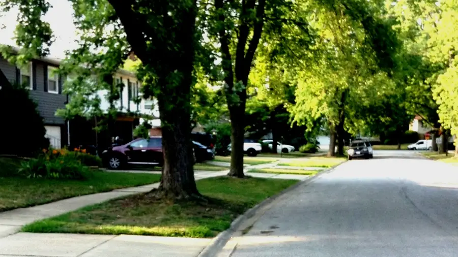 Address Withheld By Seller, Glenwood, IL 60425 - #3