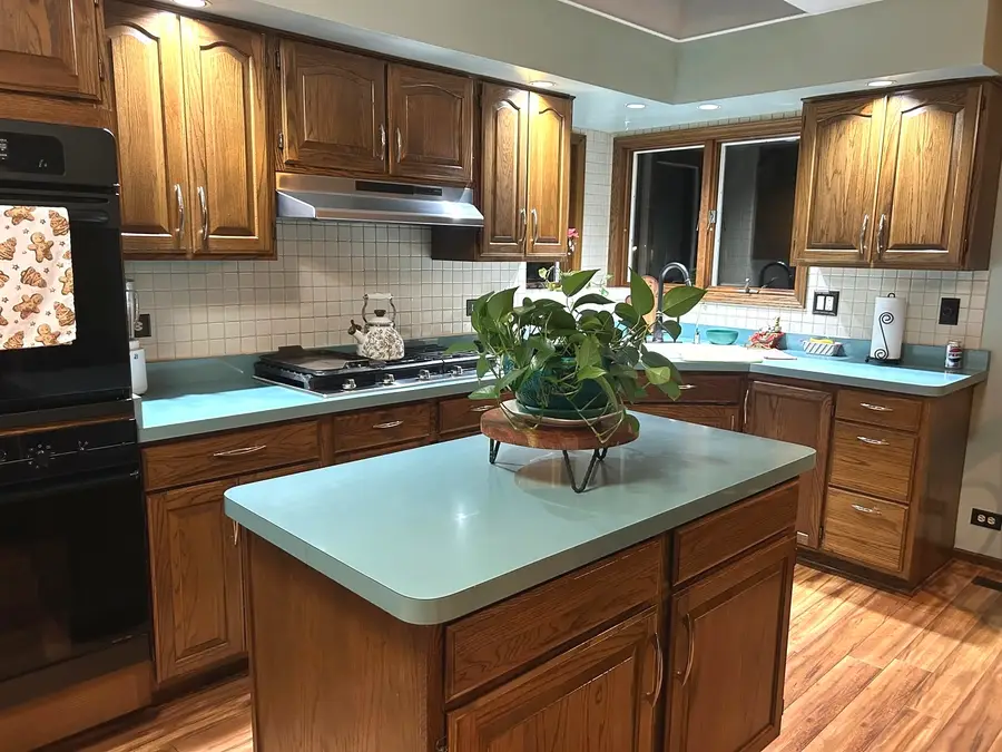 358 Osage Street, Park Forest, IL 60466 - Image #3