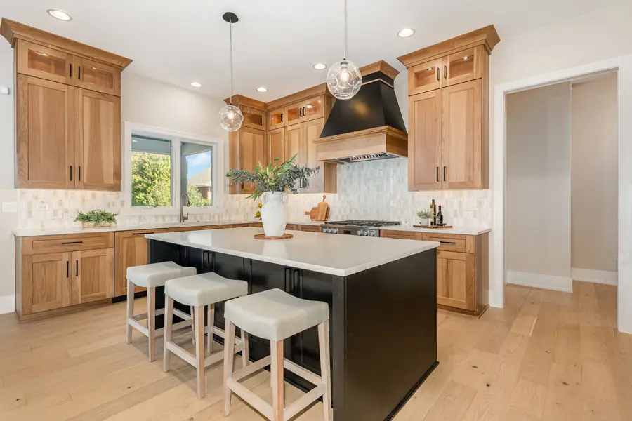 12021 S Stallion Drive, Plainfield, IL 60585 - Image #2