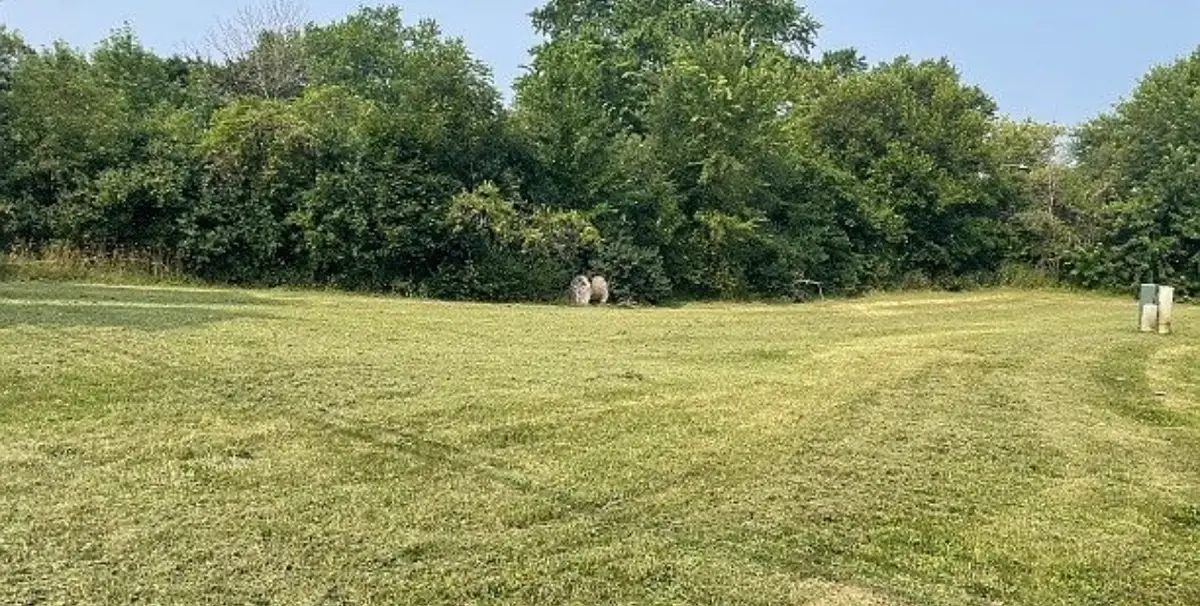 226 Bluff Court, Grayslake, IL 60030 - Image #1