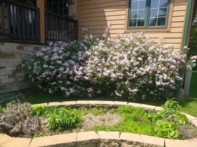 10915 Taft Street, Richmond, IL 60071 - Image #3