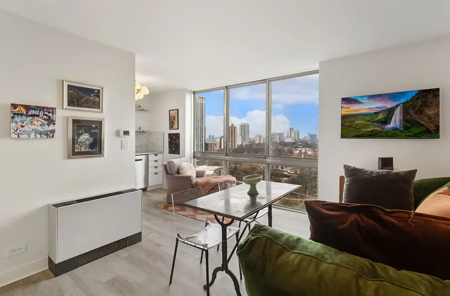 1555 N Dearborn Parkway #17C, Chicago, IL 60610 - #3