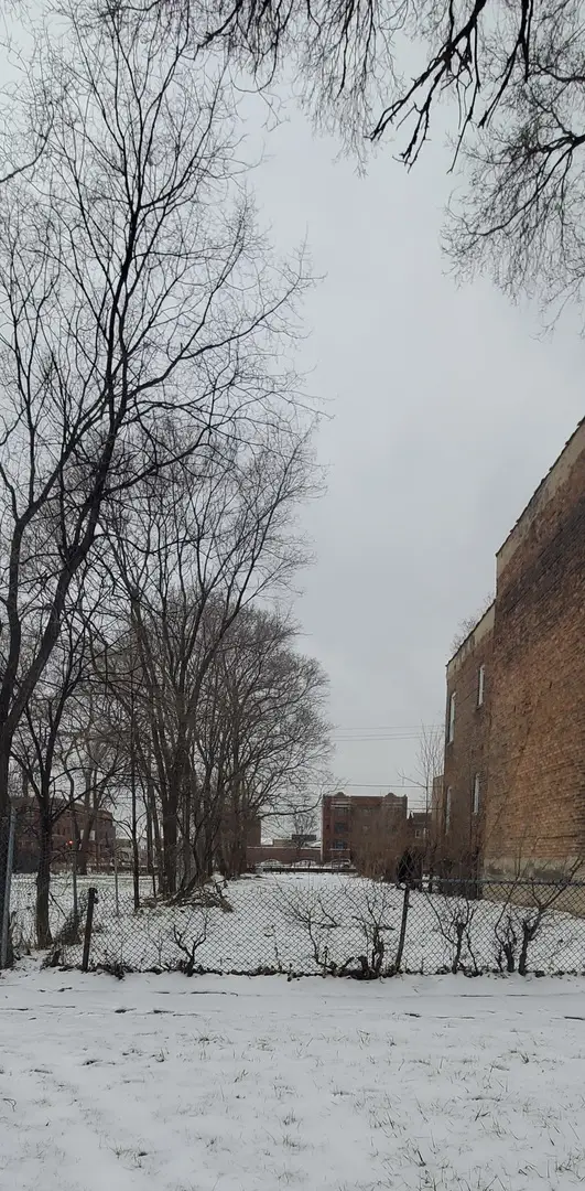 5254 S Indiana Avenue, Chicago, IL 60615 - Image #2