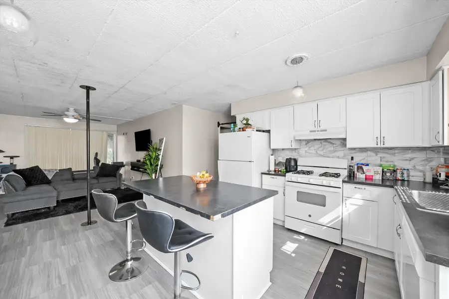 129 N Mason Avenue #105, Chicago, IL 60644 - Image #3