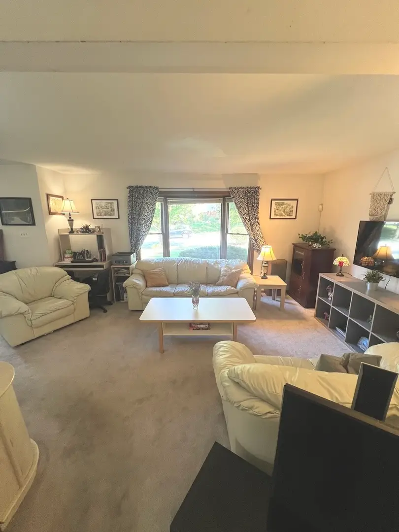 1018 Rain Tree Drive, Bolingbrook, IL 60440 - #3