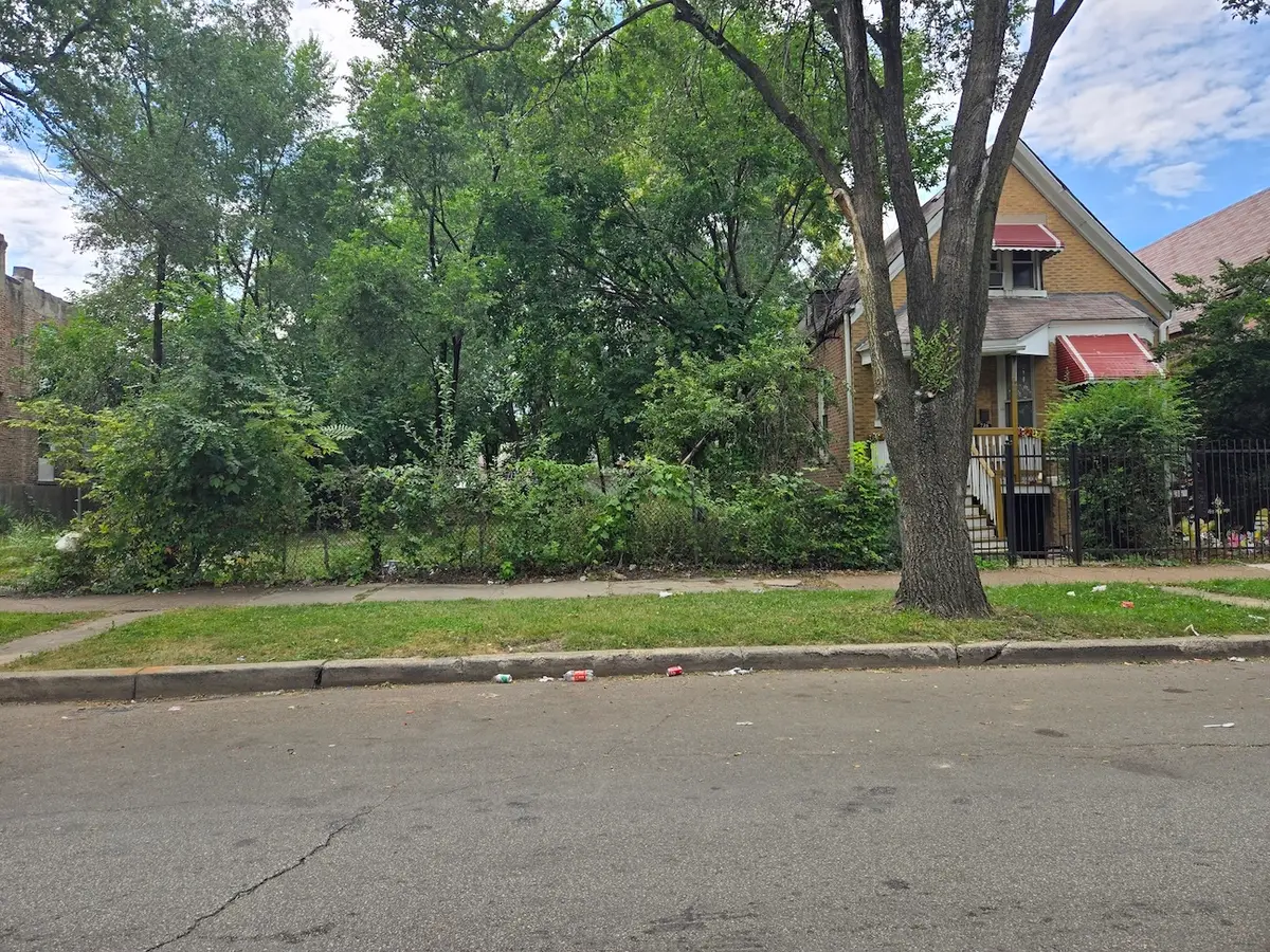738 S Karlov Avenue, Chicago, IL 60624 - #1