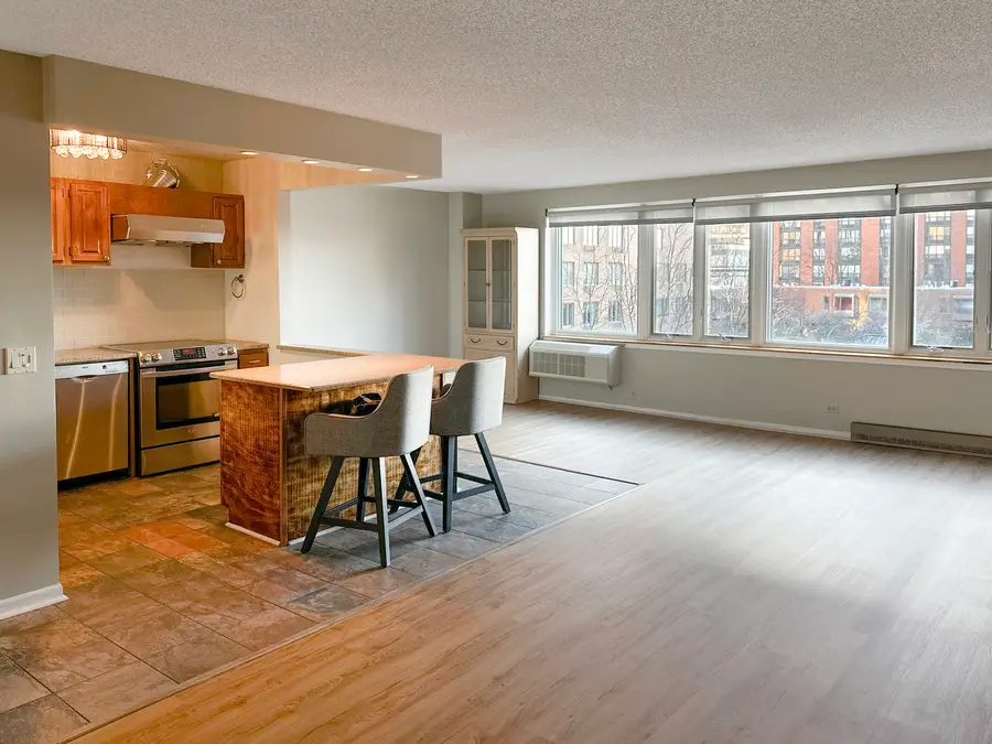 801 S Plymouth Court #318, Chicago, IL 60605 - Image #2