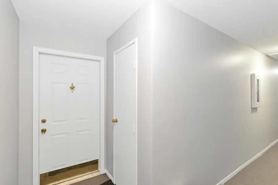 1337 E Wyndham Circle #208, Palatine, IL 60074 - Image #3