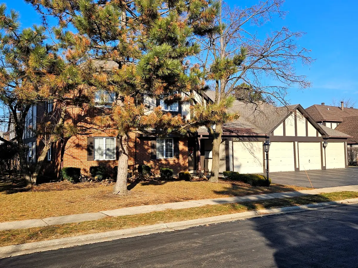 230 Windsor Lane #A, Willowbrook, IL 60527 - Image #1