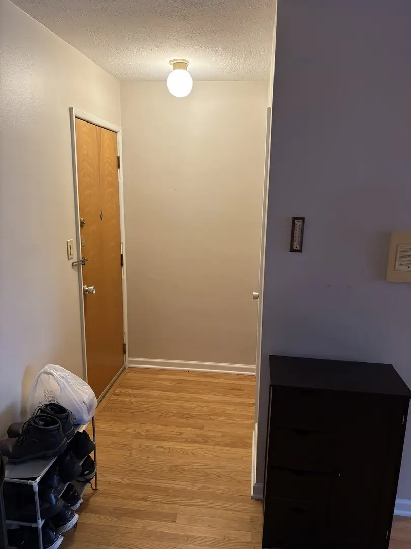 737 Ridge Avenue #1L, Evanston, IL 60602 - Image #2