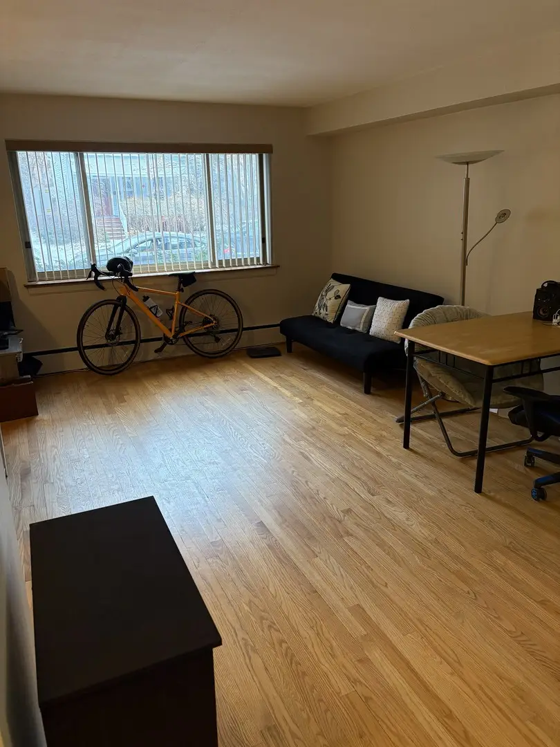 737 Ridge Avenue #1L, Evanston, IL 60602 - Image #3