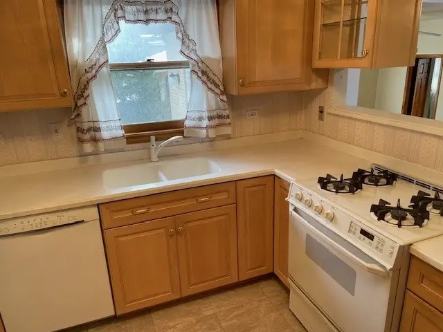 525 Bunning Drive, Downers Grove, IL 60516 - Image #3