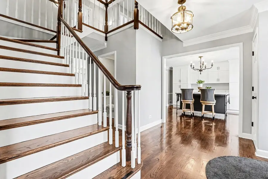 25w313 Mayflower Avenue, Naperville, IL 60540 - Image #2