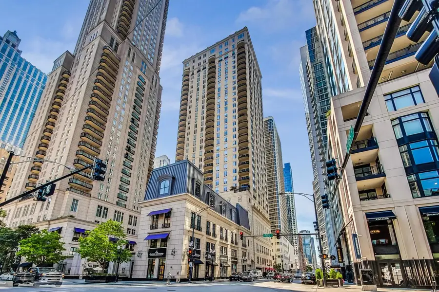 10 E Delaware Place #20A, Chicago, IL 60610 - Image #3