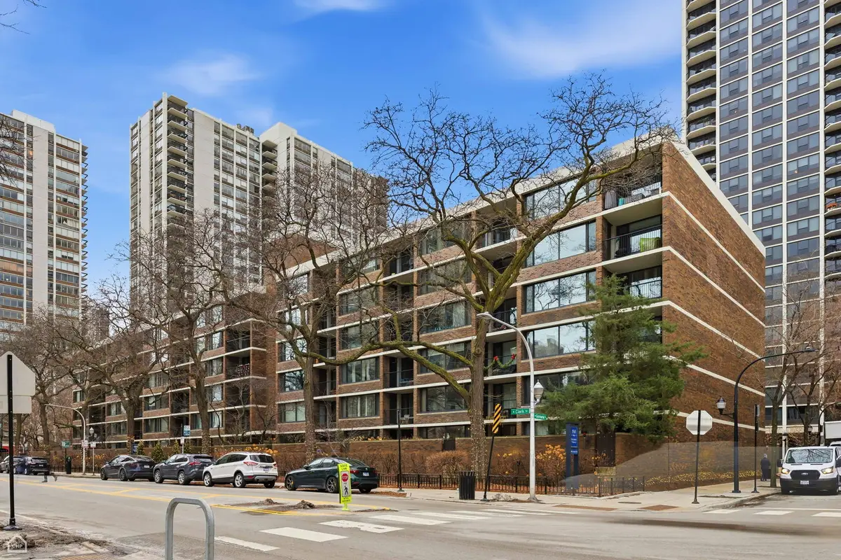 1555 N Sandburg Terrace #217K, Chicago, IL 60610 - Image #1