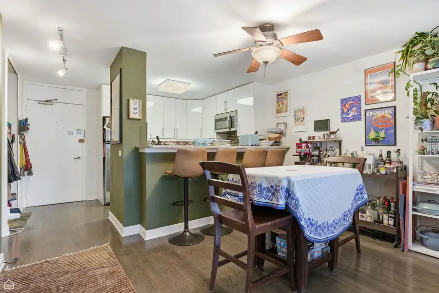 1555 N Sandburg Terrace #217K, Chicago, IL 60610 - Image #3