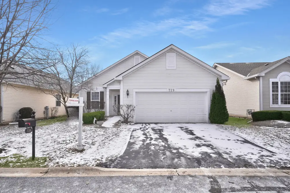 729 S Mecosta Lane, Romeoville, IL 60446 - Image #1