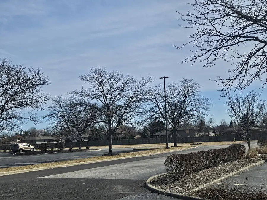 14328 Pinewood Drive, Orland Park, IL 60467 - Image #3