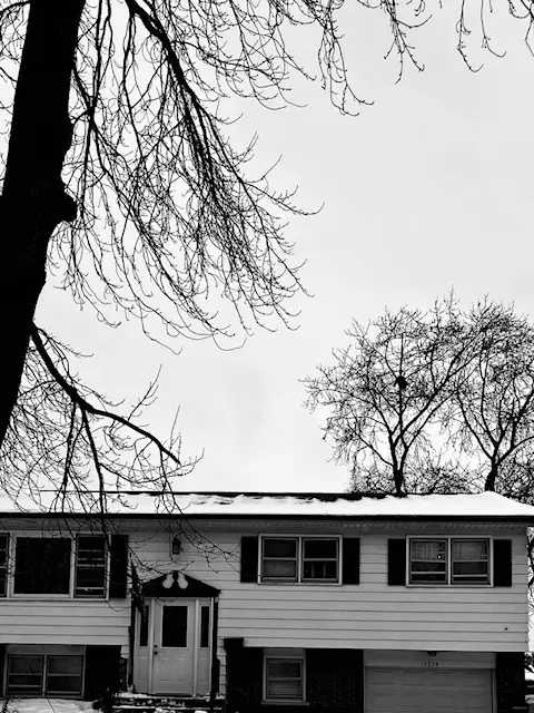 16334 Ridgeland Avenue, Tinley Park, IL 60477 - Image #1