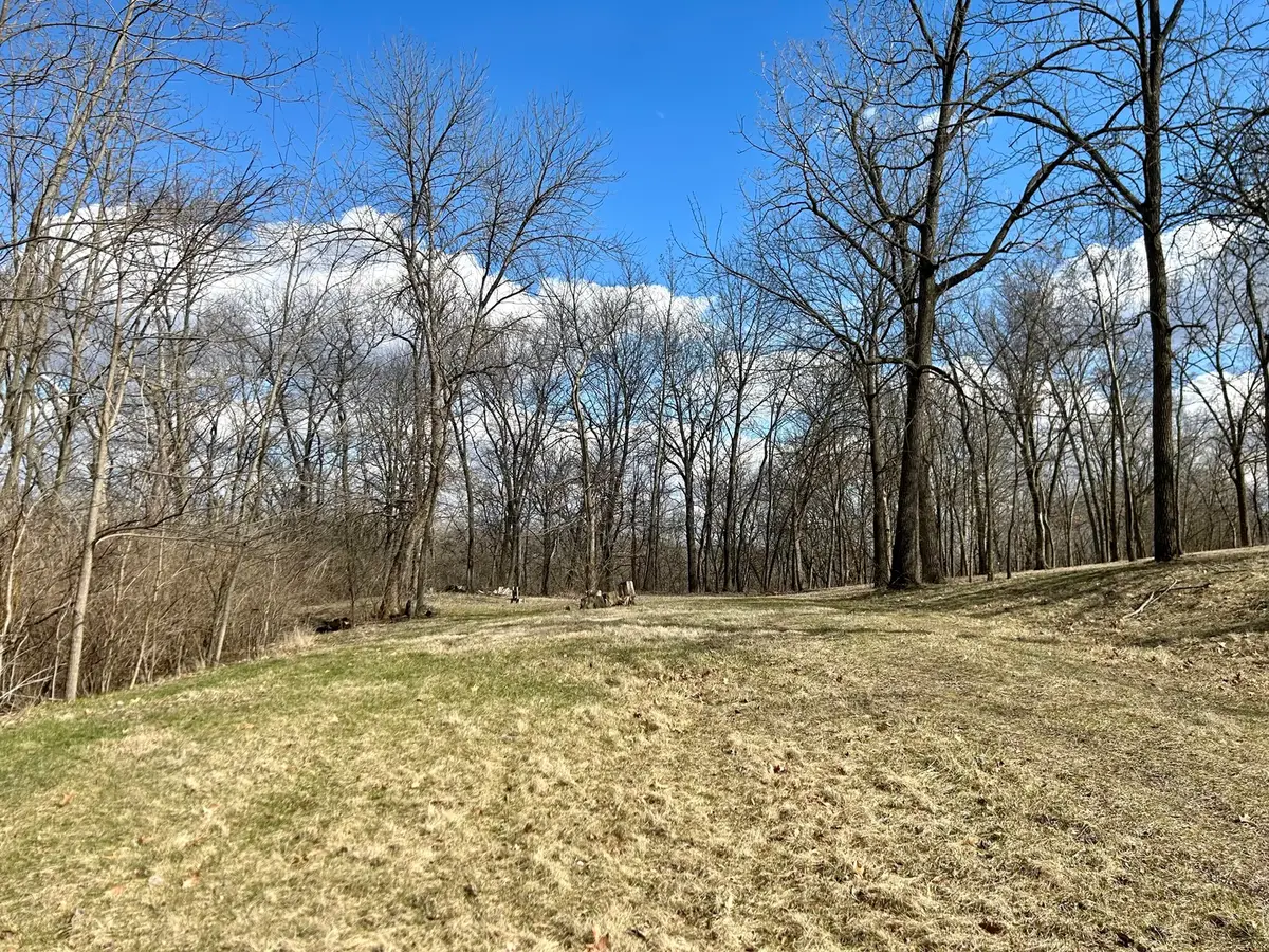 Lot 5 Thirty Foot Trail Road, Oglesby, IL 61348 - Image #1