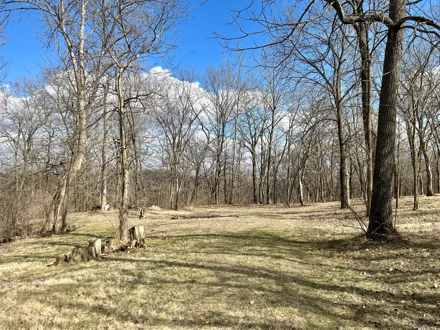 Lot 5 Thirty Foot Trail Road, Oglesby, IL 61348 - Image #2