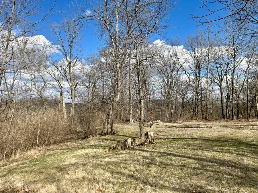 Lot 5 Thirty Foot Trail Road, Oglesby, IL 61348 - Image #3