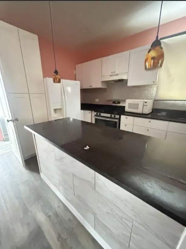 8602 S Houston Avenue, Chicago, IL 60617 - Image #3