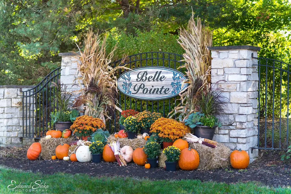 9513 Mels Way, Union, IL 60180 - Image #1