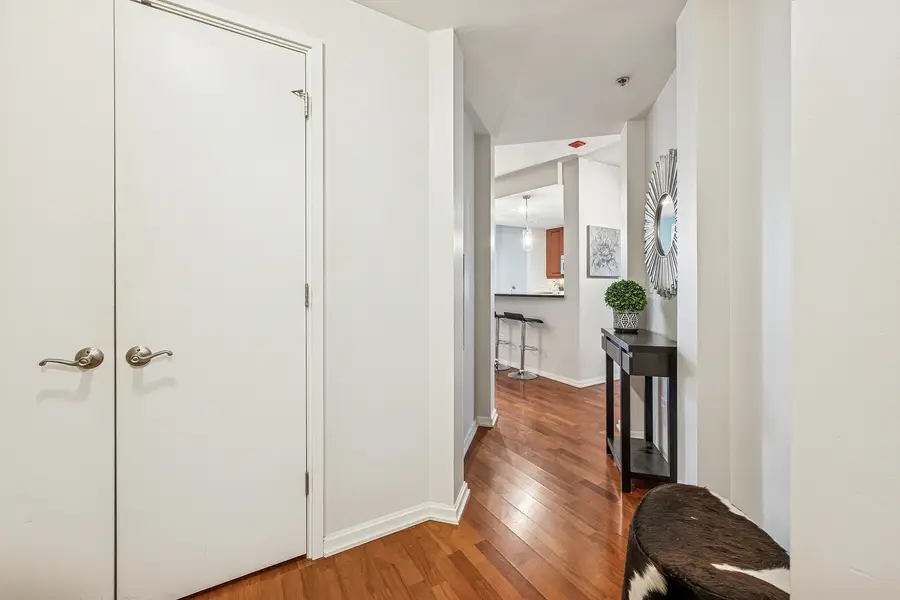 160 E Illinois Street #1008, Chicago, IL 60611 - Image #3