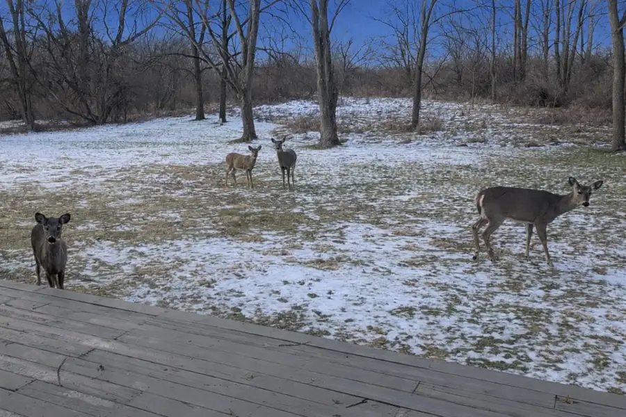 41w229 Colson Drive, Saint Charles, IL 60175 - Image #2