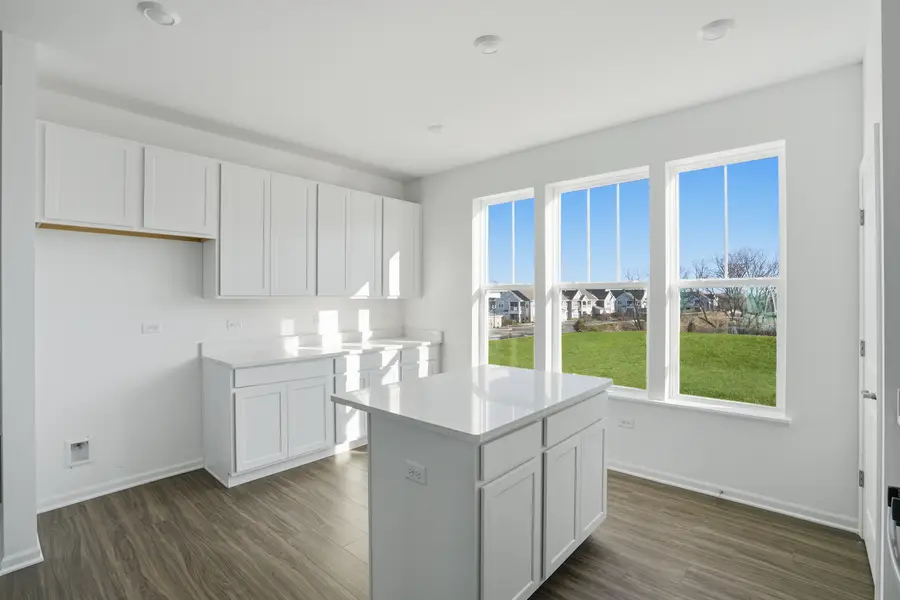 305 Settlers Place, West Dundee, IL 60118 - Image #3