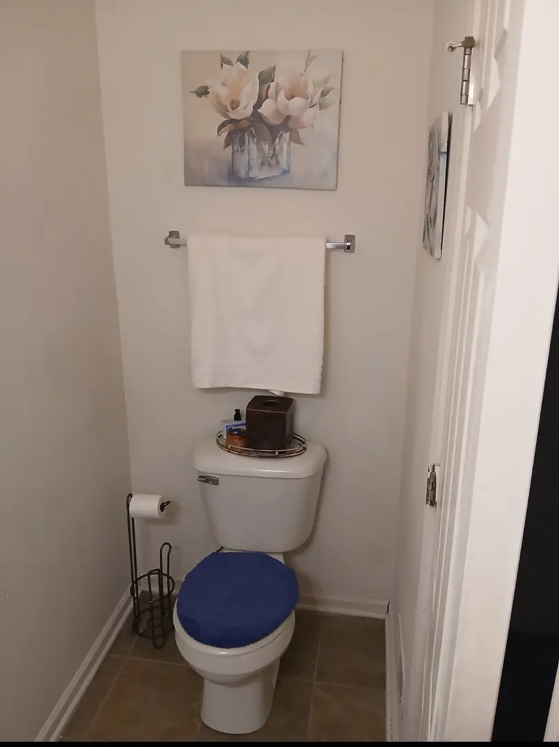 3919 Pratt Street, Plano, IL 60545 - Image #2